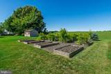 27524 Derby Drive - Photo 48