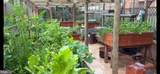 11610 Karen Drive - Photo 49