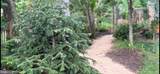 11610 Karen Drive - Photo 57