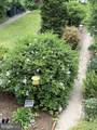 145 Chestnut Street - Photo 39