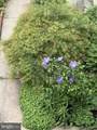 145 Chestnut Street - Photo 40