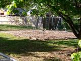 11723 Chilcoate Lane - Photo 11