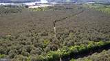  Taylors Island Rd - Photo 14