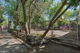817 Orkney Street - Photo 83
