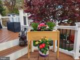 7856 Marioak Drive - Photo 31