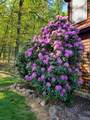 330 Sideling Mountain Drive - Photo 104