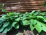 28407 Old Eden Road - Photo 38
