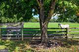 14921 Old York Road - Photo 81
