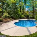 4341 Wild Filly Court - Photo 3