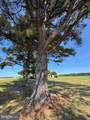 6101 Bethlehem Road - Photo 35