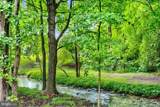29210 Shady Creek Lane - Photo 42