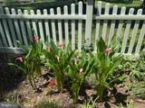 1421 Morningside Drive - Photo 26