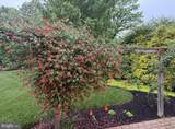 104 Indian Springs Road - Photo 99