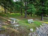 392 Deer Run Lane - Photo 63