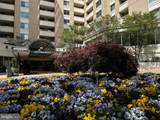 4601 Park Avenue - Photo 1