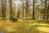 398 Snowbird Lane - Photo 60