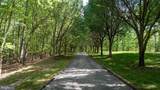 40 Grandview Drive - Photo 20
