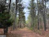  Wyatt Farm Road (Tract: C118 Carter-Wells) - Photo 1