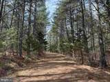  Wyatt Farm Road (Tract: C118 Carter-Wells) - Photo 16