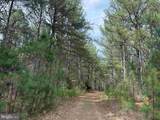  Wyatt Farm Road (Tract: C118 Carter-Wells) - Photo 2
