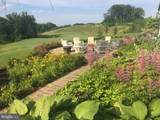 17109 Gullwing Drive - Photo 87