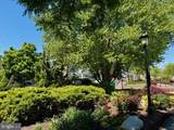 42 Wolfe Street - Photo 66