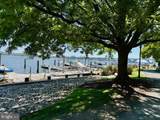 42 Wolfe Street - Photo 72
