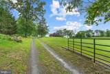 18837 Trinity Church Road - Photo 4