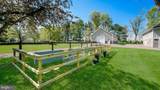 5389 Carversville Road - Photo 51