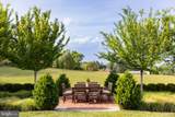 7316 Old Carters Mill Road - Photo 39