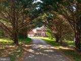 245 Persimmon Hills Court - Photo 4
