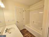 34764 Sandyfield Drive - Photo 16