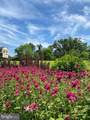 818 Burrows Run Road - Photo 61