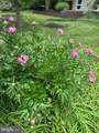 7715 Elba Road - Photo 66
