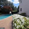11514 Seneca Woods Court - Photo 10