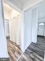 31 Marion Street - Photo 17