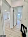 31 Marion Street - Photo 37