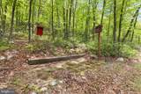 551 Sawlog - Photo 16