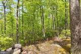 551 Sawlog - Photo 20