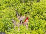 551 Sawlog - Photo 24