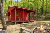 551 Sawlog - Photo 4