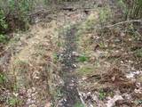 0 Gnegy Church Road - Photo 10