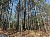  Dabney House Road (Tract: Pittsylvania Compton-3) - Photo 10