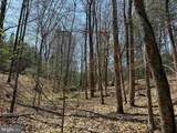  Dabney House Road (Tract: Pittsylvania Compton-3) - Photo 3