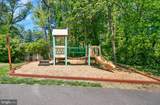 10103 Sassafras Woods Court - Photo 29