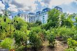5 Park Place - Photo 42