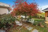 6 Cecil St - Photo 33