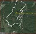  Bear Hill Road - Photo 12