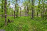  Bear Hill Road - Photo 7