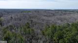  Iberis - Photo 14